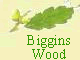 Biggins Wood