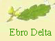 Ebro Delta